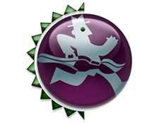 Runner Logo