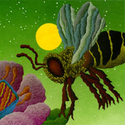 Bee Image